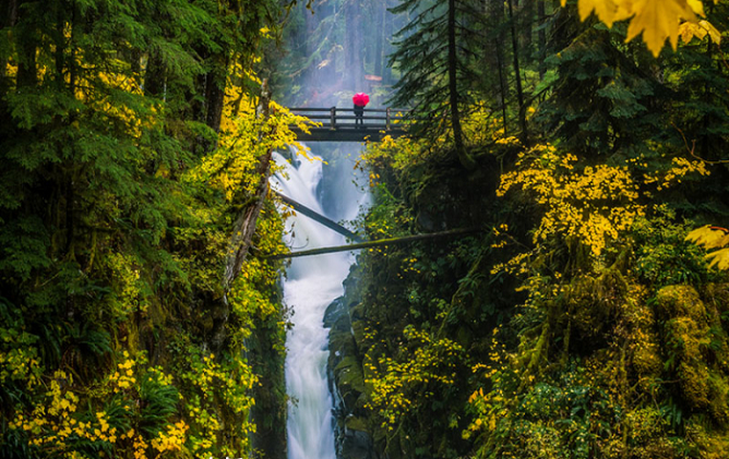 Olympic National Park